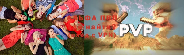 spice Богданович