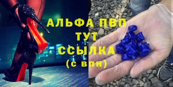 spice Богданович