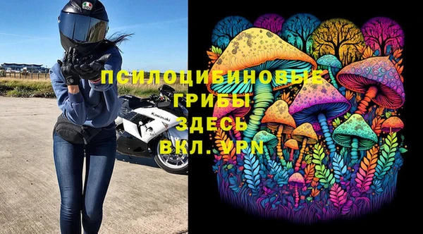 хмурый Богородицк