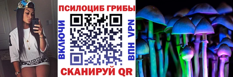 даркнет сайт  Дюртюли  Галлюциногенные грибы Magic Shrooms 